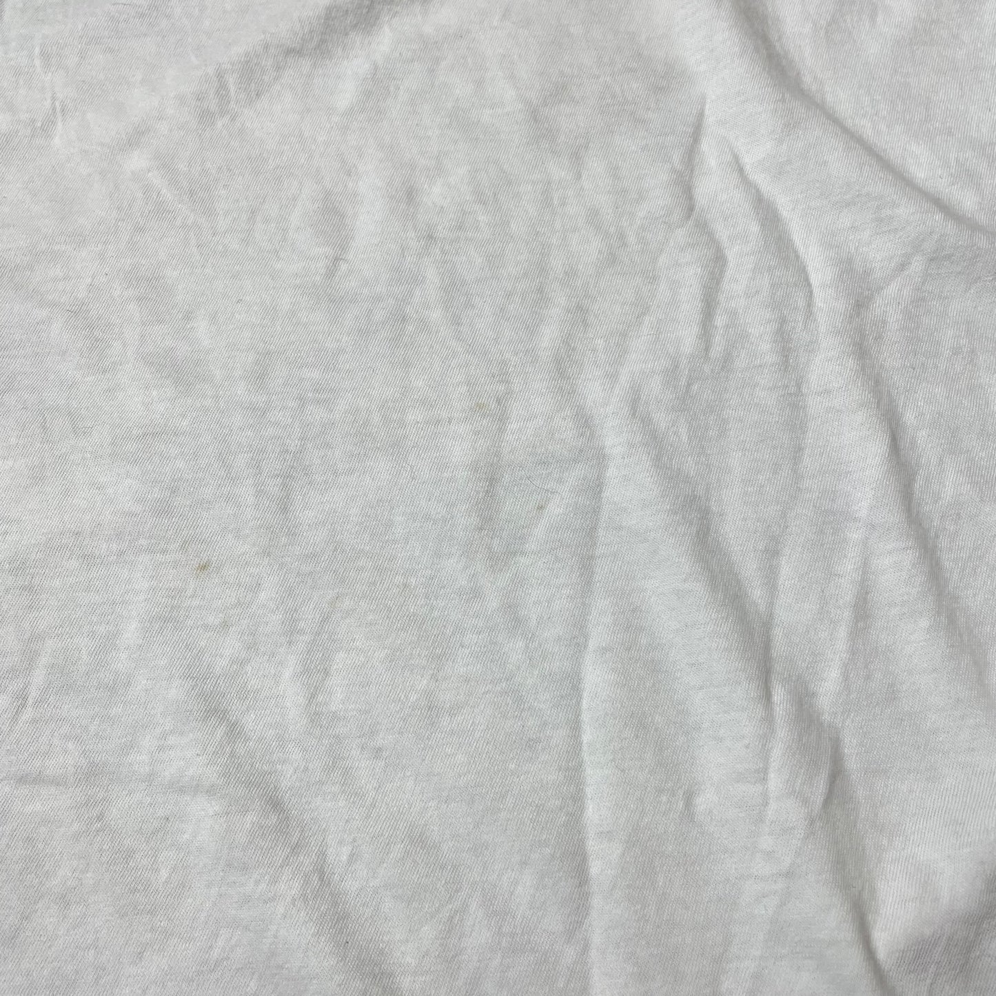 (M) Ramones Band Tshirt weiß schwarz