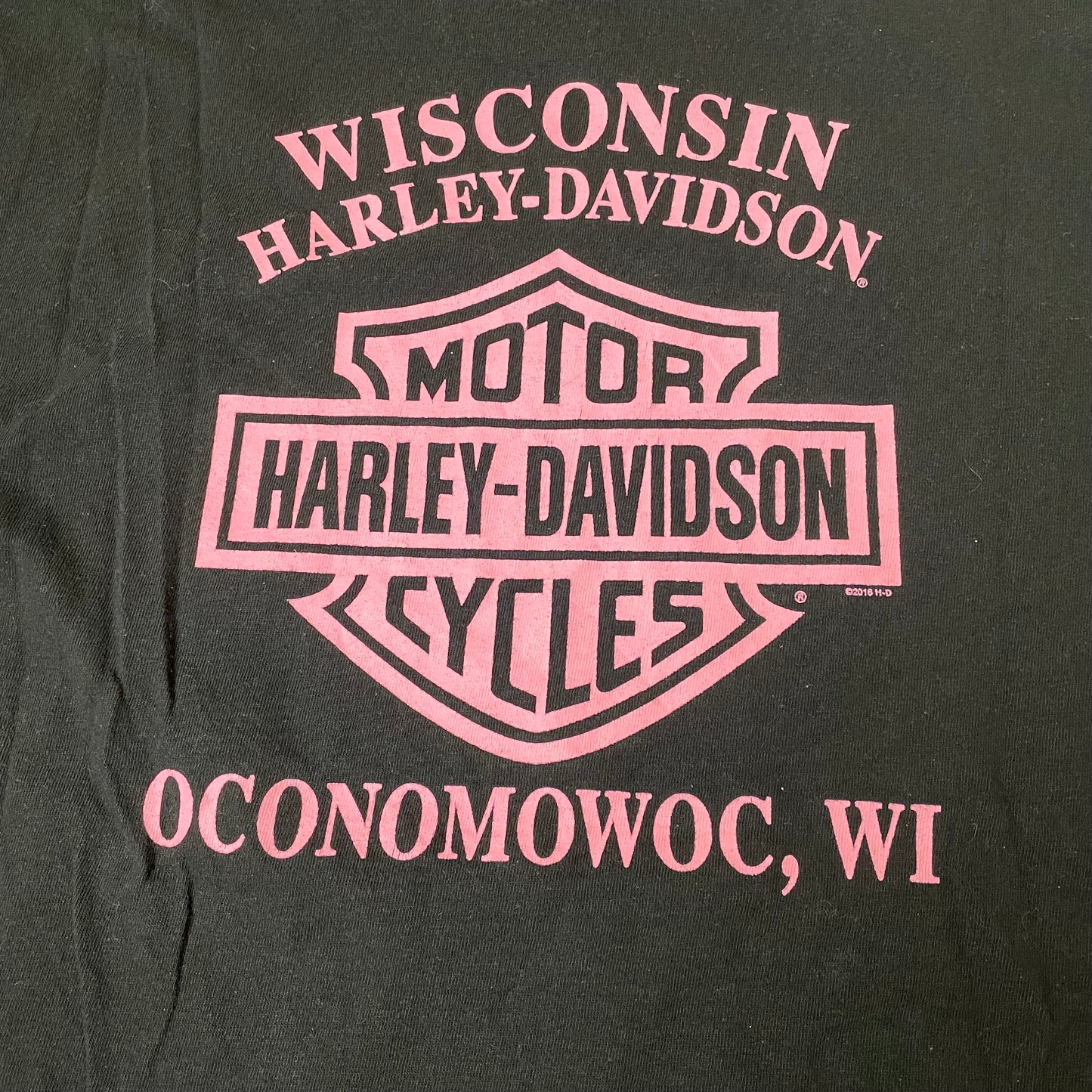 (L) 2016 Harley Davidson Big Logo Wisconsin Tshirt schwarz pink