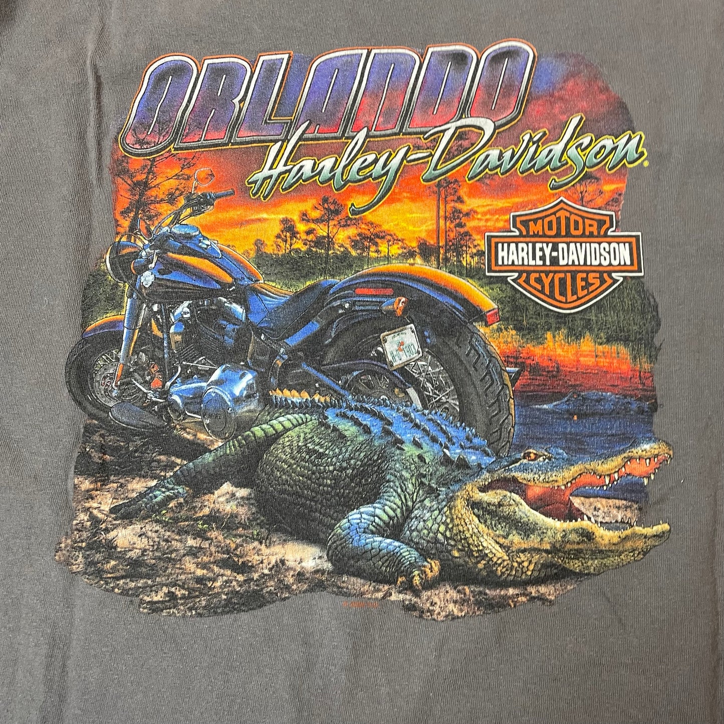 (L) Harley Davidson Orlando Gator Tshirt grau Florida