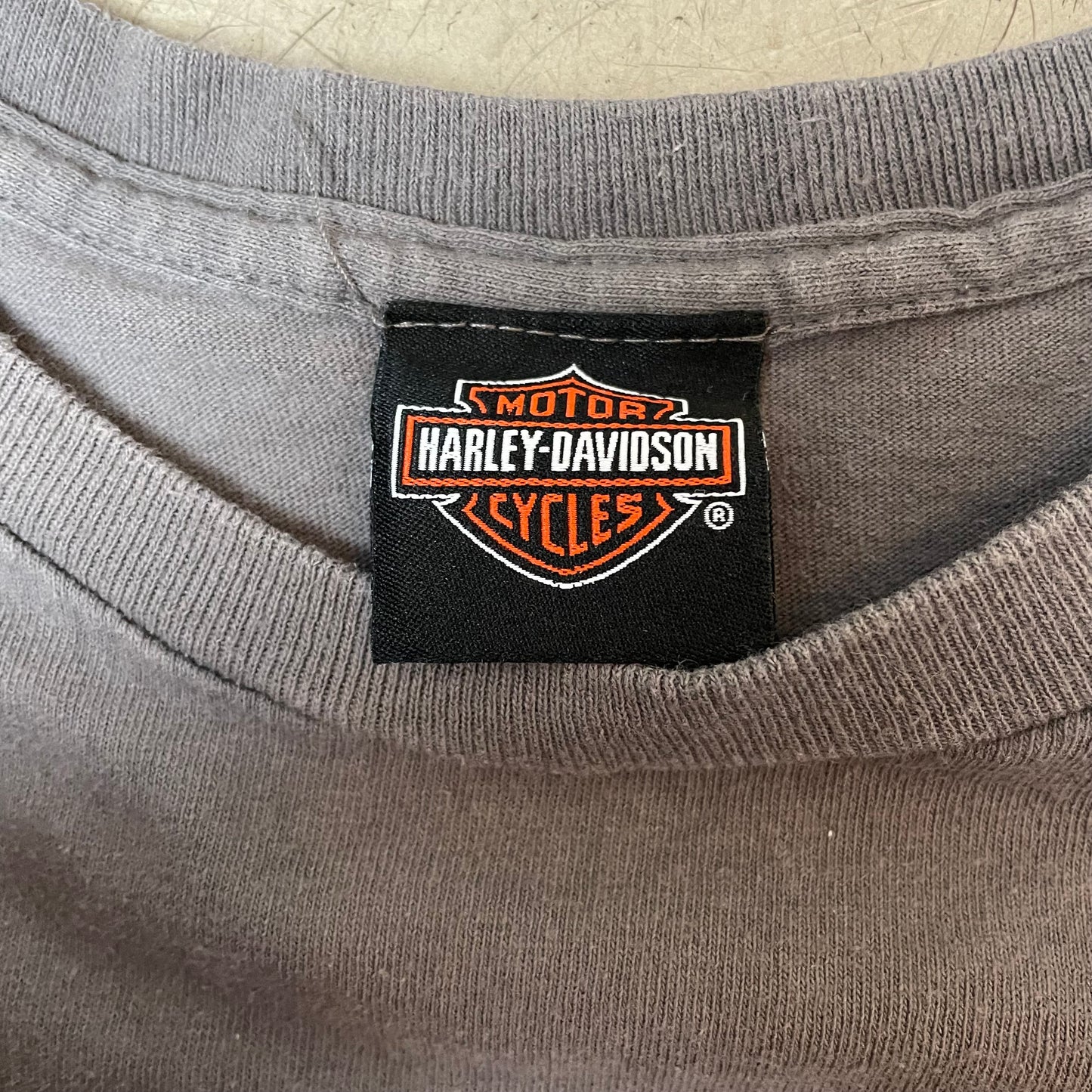 (L) Harley Davidson Orlando Gator Tshirt grau Florida