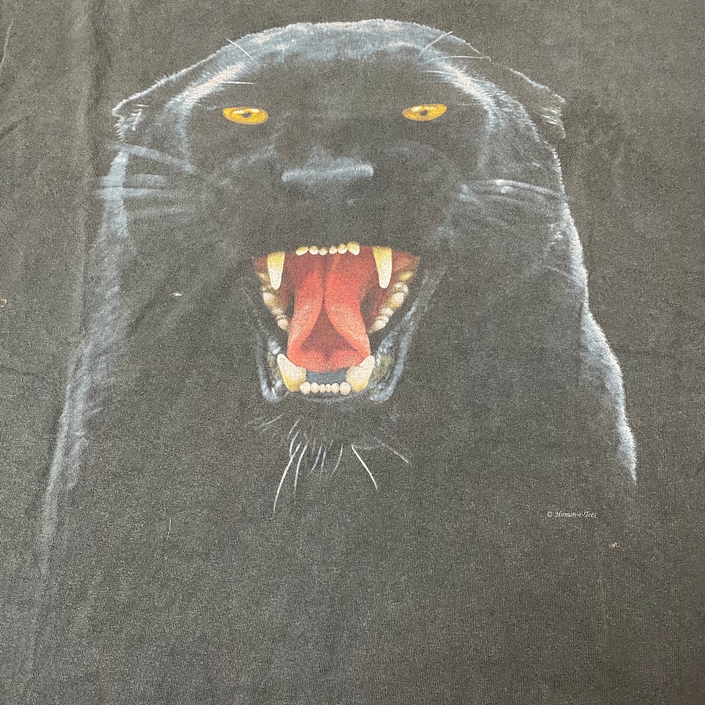 (XL) Vintage Black Panther Animal Print Tshirt faded Black