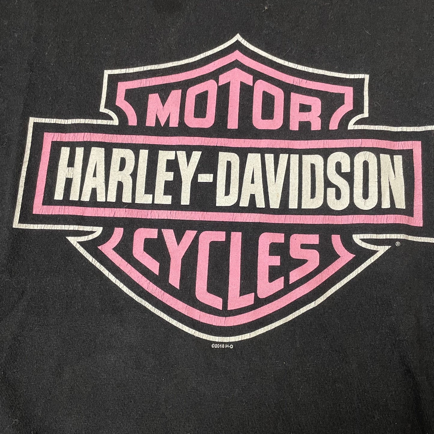 (L) 2016 Harley Davidson Big Logo Wisconsin Tshirt schwarz pink