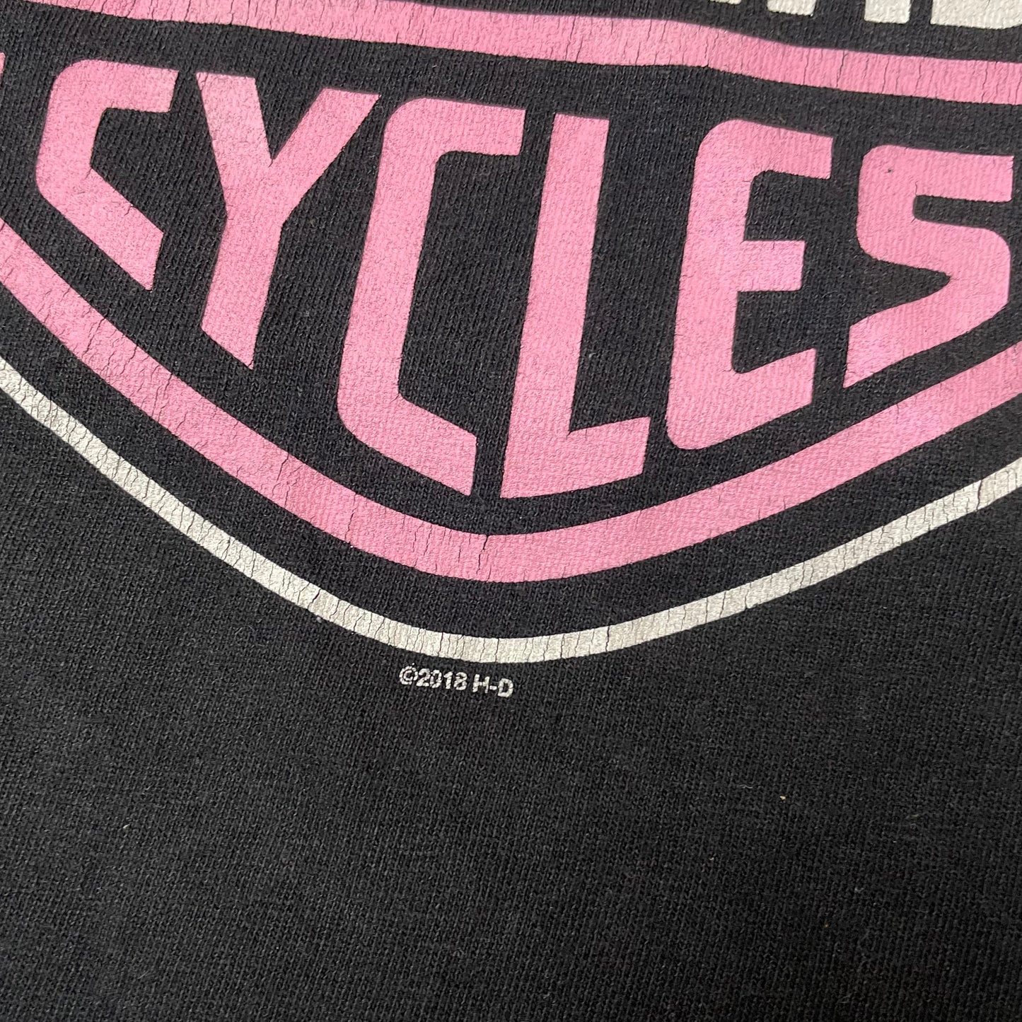 (L) 2016 Harley Davidson Big Logo Wisconsin Tshirt schwarz pink